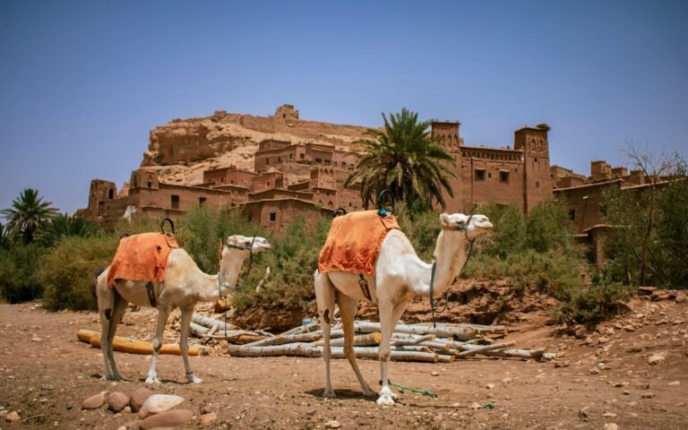 Escursione ad Ait Ben Haddou e Ouarzazate da Marrakech