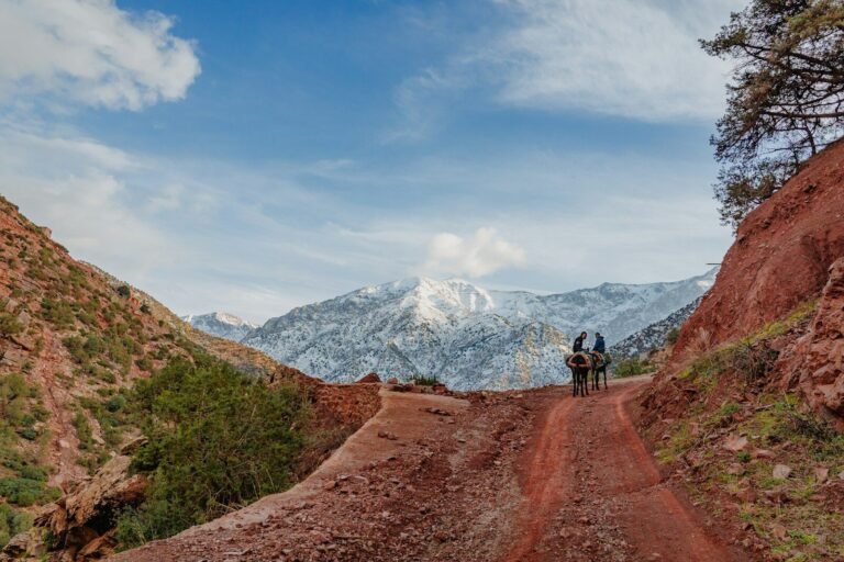 Escursione alla valle dell'Ourika da Marrakech