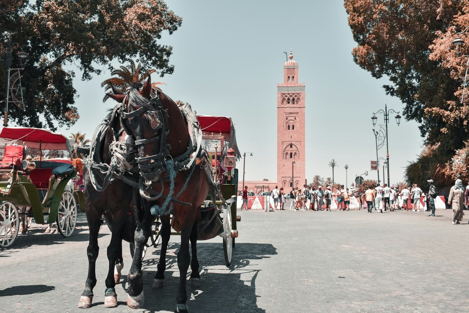 Architettura tradizionale e paesaggi del Marocco